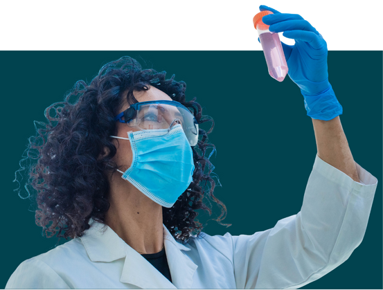 Labe-testing-SIMAR.png