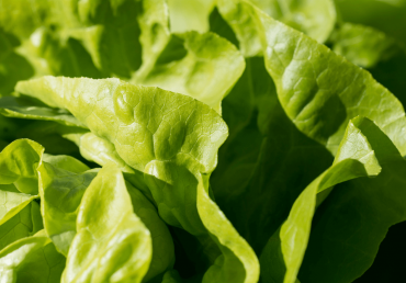 The riskiest foods that get easily contaminated