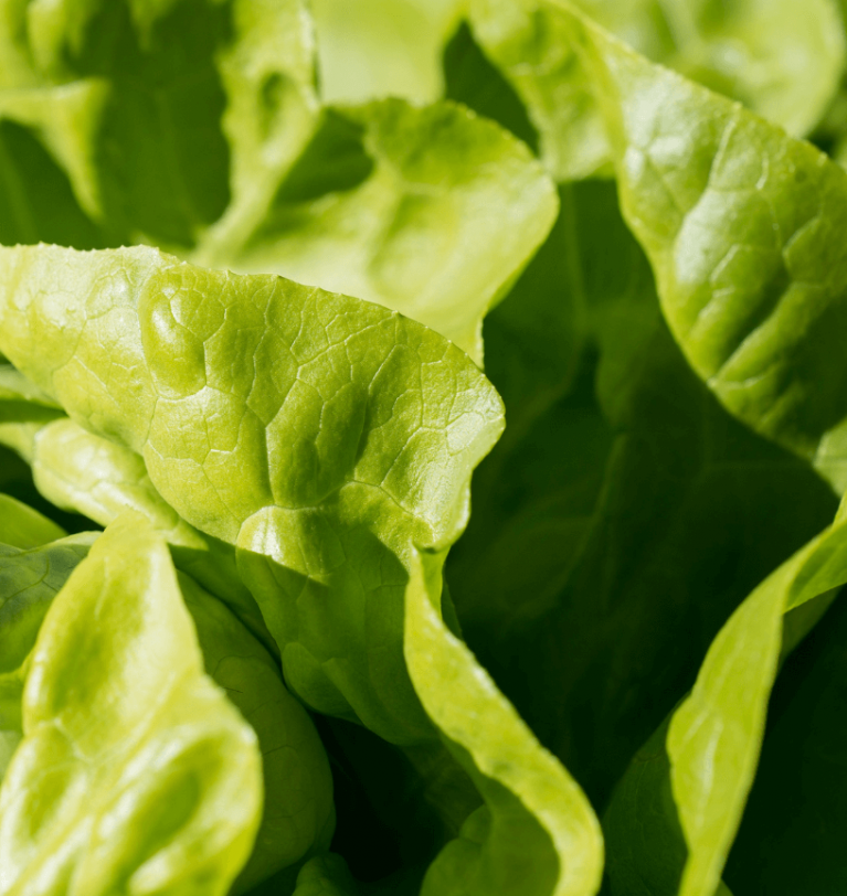 The riskiest foods that get easily contaminated