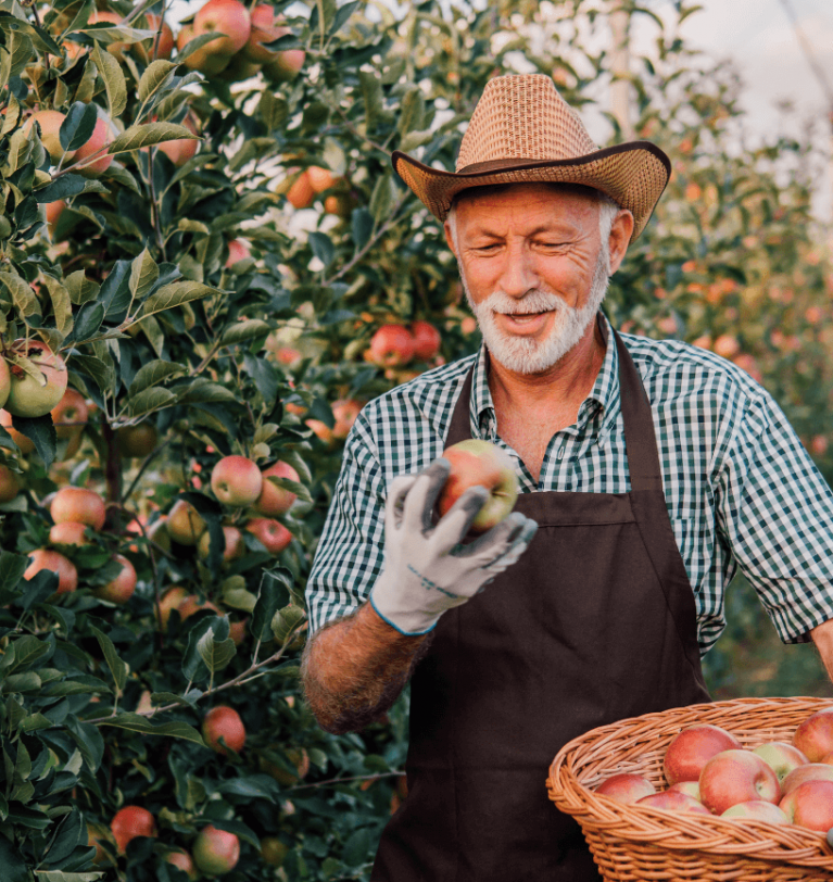 Why food safety starts with knowing the full story